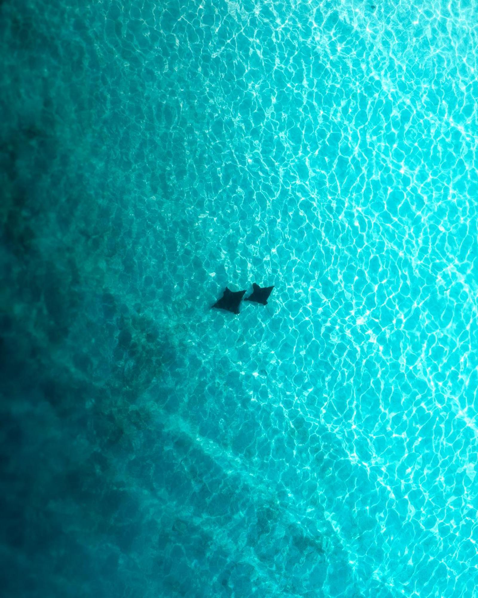 Ocean Pearl Maldives At Gulhi Island Otel Dış mekan fotoğraf